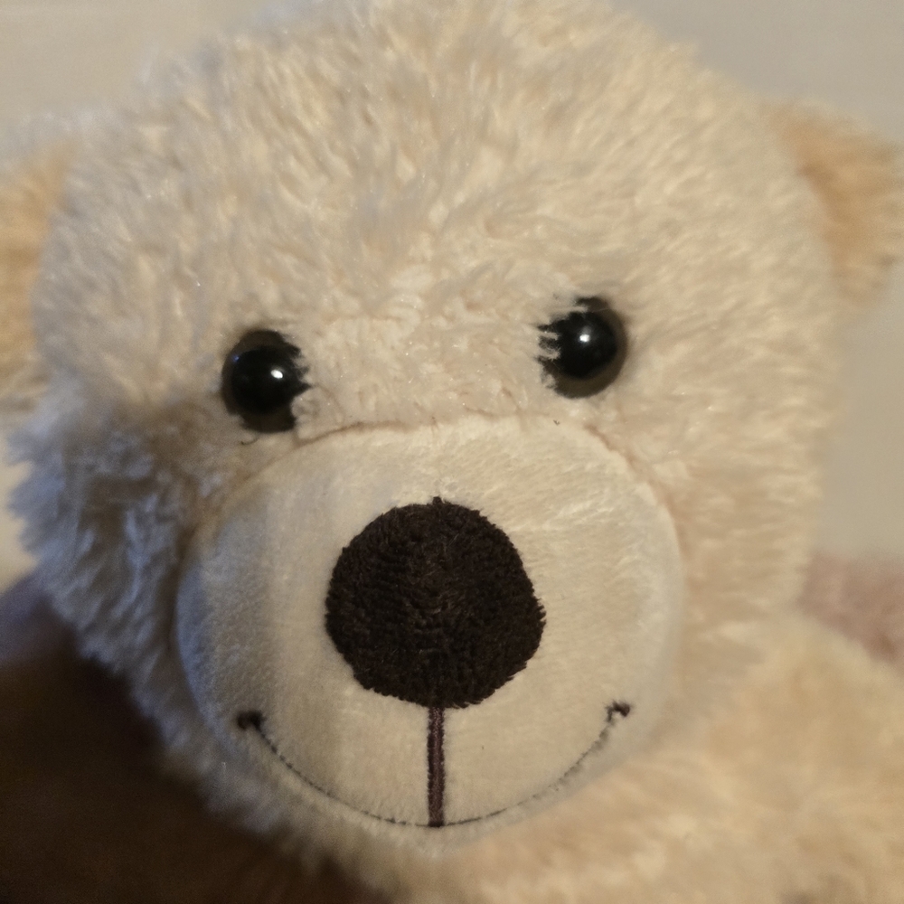 Build A Bear Teddy Bear